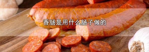 香肠是用什么肠子做的