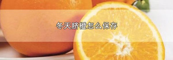 冬天脐橙怎么保存