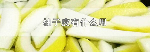 柚子皮有什么用