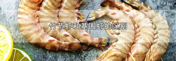 竹节虾和基围虾的区别