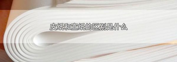 皮纸和宣纸的区别是什么