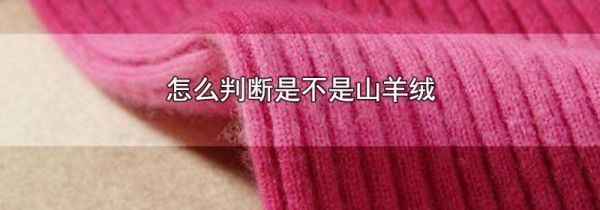 怎么判断是不是山羊绒