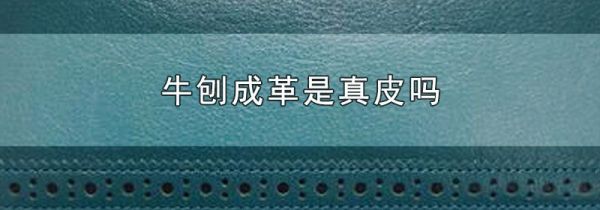 牛刨成革是真皮吗