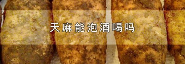 天麻能泡酒喝吗