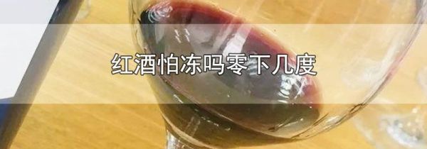 红酒怕冻吗零下几度