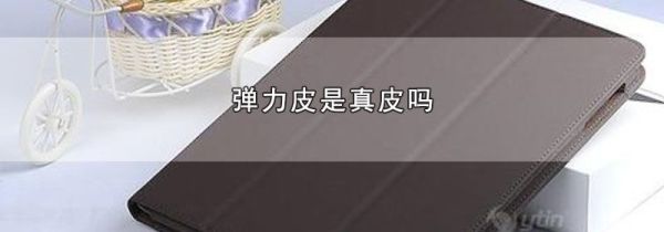 弹力皮是真皮吗