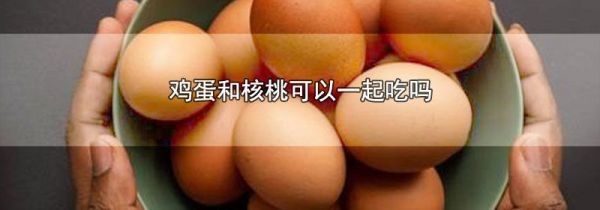 鸡蛋和核桃可以一起吃吗