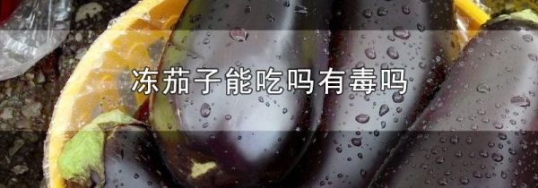 冻茄子能吃吗有毒吗
