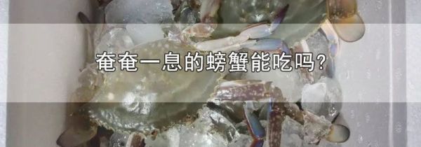 奄奄一息的螃蟹能吃吗?