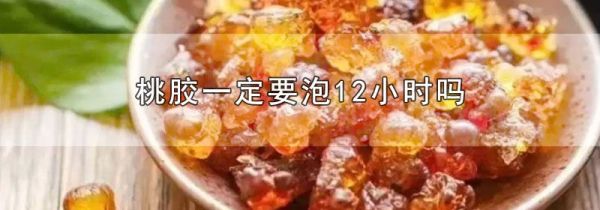 桃胶一定要泡12小时吗