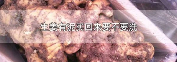 生姜有泥买回来要不要洗