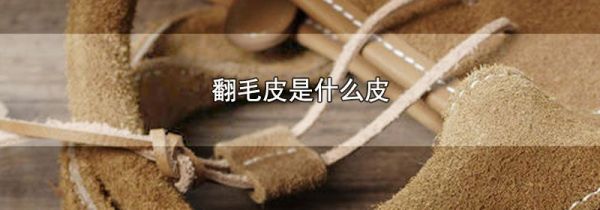 翻毛皮是什么皮