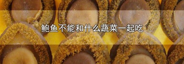 鲍鱼不能和什么蔬菜一起吃