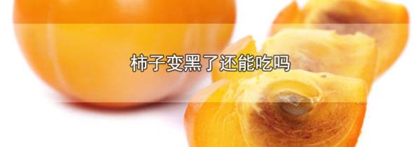 柿子变黑了还能吃吗