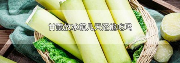 甘蔗放冰箱几天还能吃吗