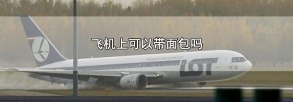 飞机上可以带面包吗