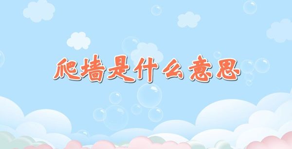 爬墙是什么意思