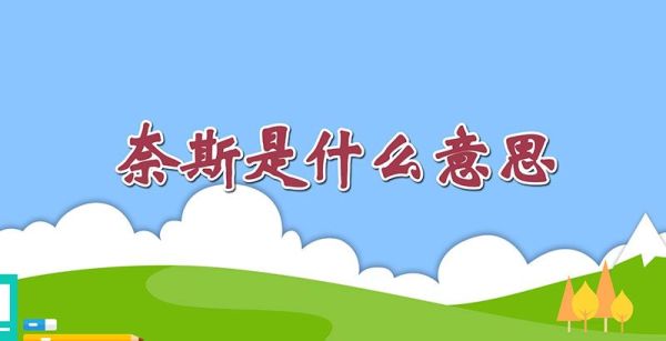 奈斯是什么意思