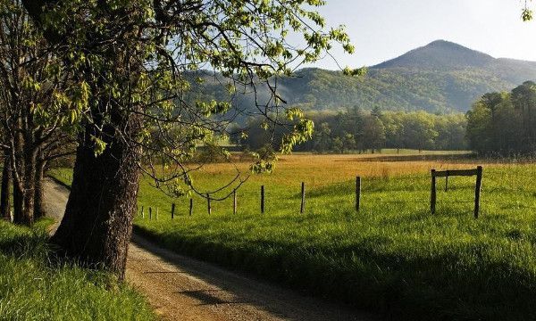 不客气与不用客气一样吗