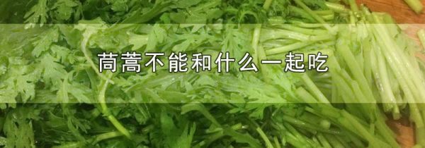 茼蒿不能和什么一起吃