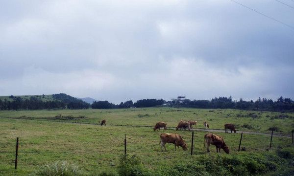 不客气与不用客气一样吗