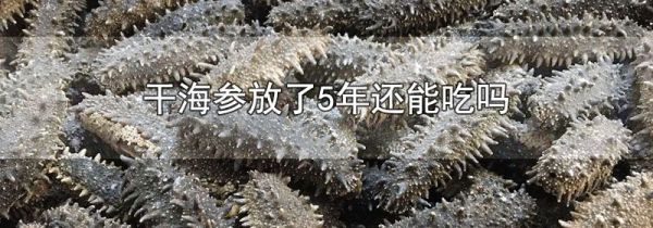 干海参放了5年还能吃吗
