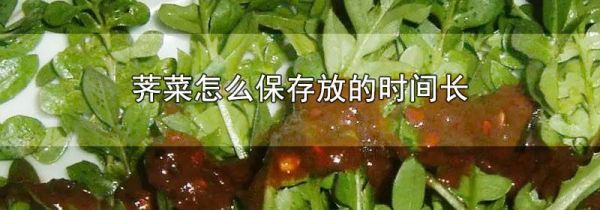 荠菜怎么保存放的时间长