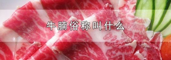 牛腩俗称叫什么