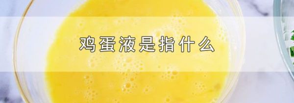 鸡蛋液是指什么