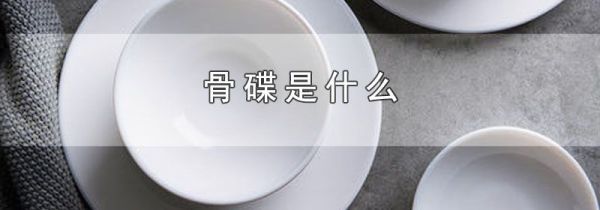 骨碟是什么
