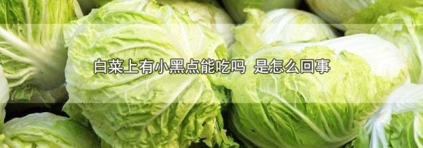 白菜上有小黑点能吃吗 是怎么回事