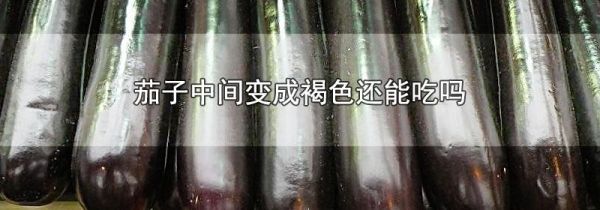 茄子中间变成褐色还能吃吗