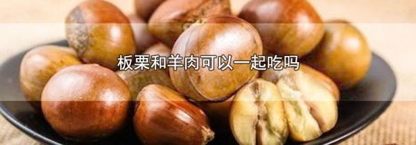 板栗和羊肉可以一起吃吗