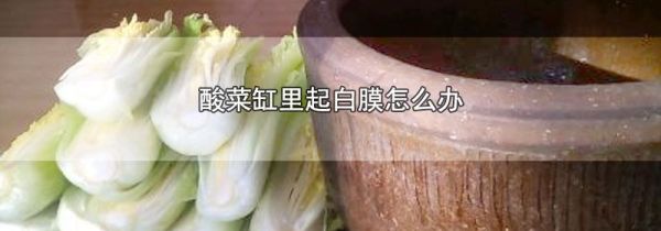 酸菜缸里起白膜怎么办