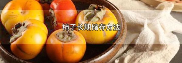 柿子长期储存方法