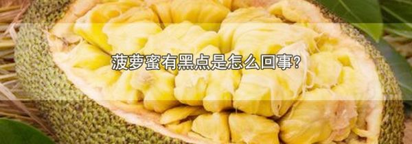 菠萝蜜有黑点是怎么回事?