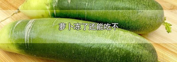 萝卜冻了还能吃不