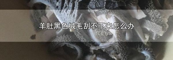 羊肚黑色绒毛刮不下来怎么办