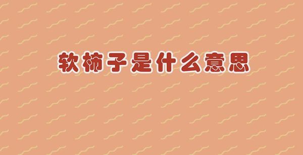 软柿子是什么意思
