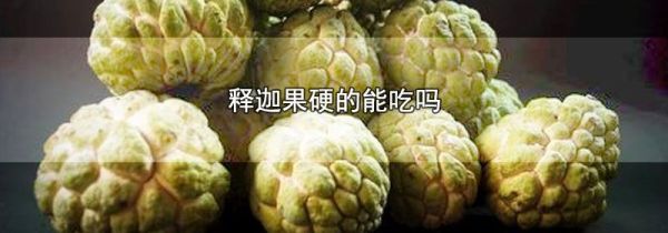 释迦果硬的能吃吗