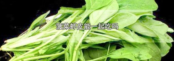 菠菜虾皮能一起吃吗