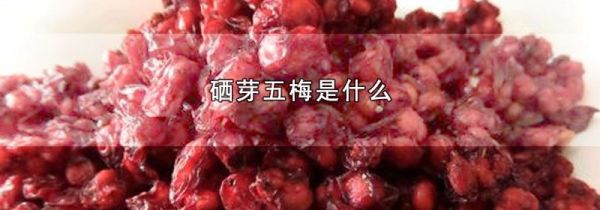 硒芽五梅是什么