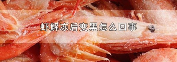 虾解冻后变黑怎么回事