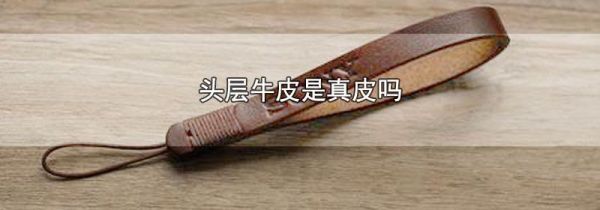 头层牛皮是真皮吗