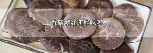 香菇发红还能吃吗