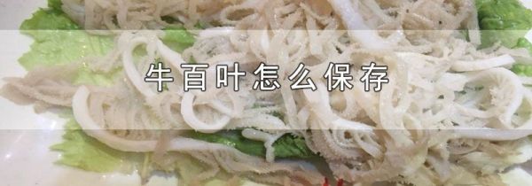 牛百叶怎么保存