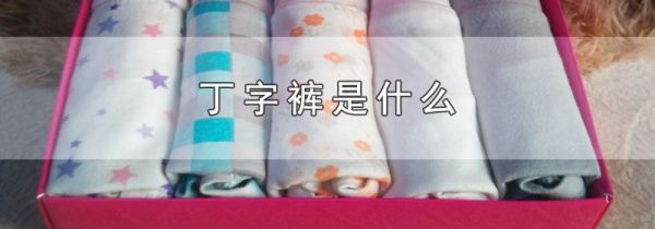 丁字裤是什么