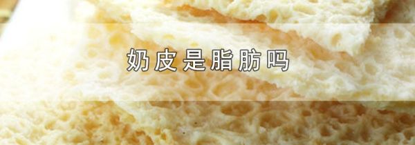 奶皮是脂肪吗