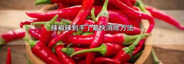 辣椒辣到手了最快消除方法