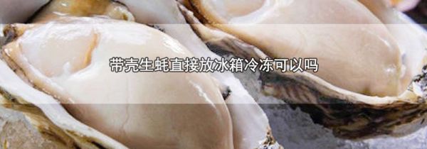 带壳生蚝直接放冰箱冷冻可以吗